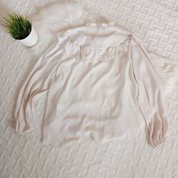 {Pinch} Ruffle Blouse - Picture 3 of 4